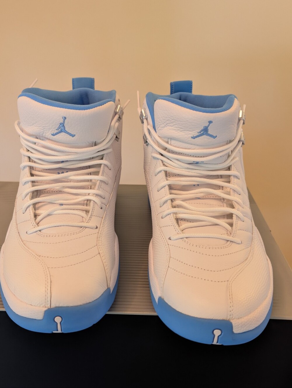 Jordan Men's Retro 12 Melo Sneakers